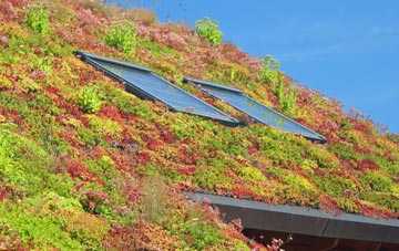 Llangefni living roof systems